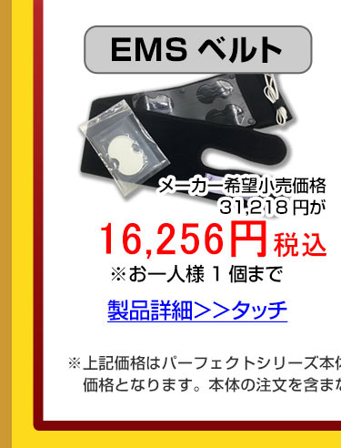 パーフェクト4000用オプションのEMS用ベルト