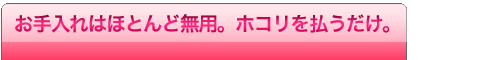 �����^�C�}�[�t
